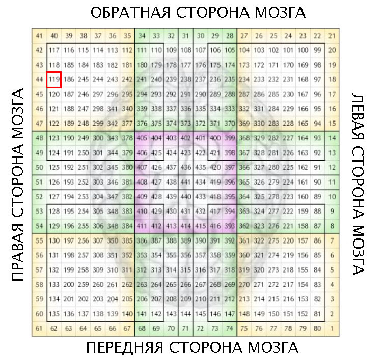Базовая Матрица Синхронотрона
